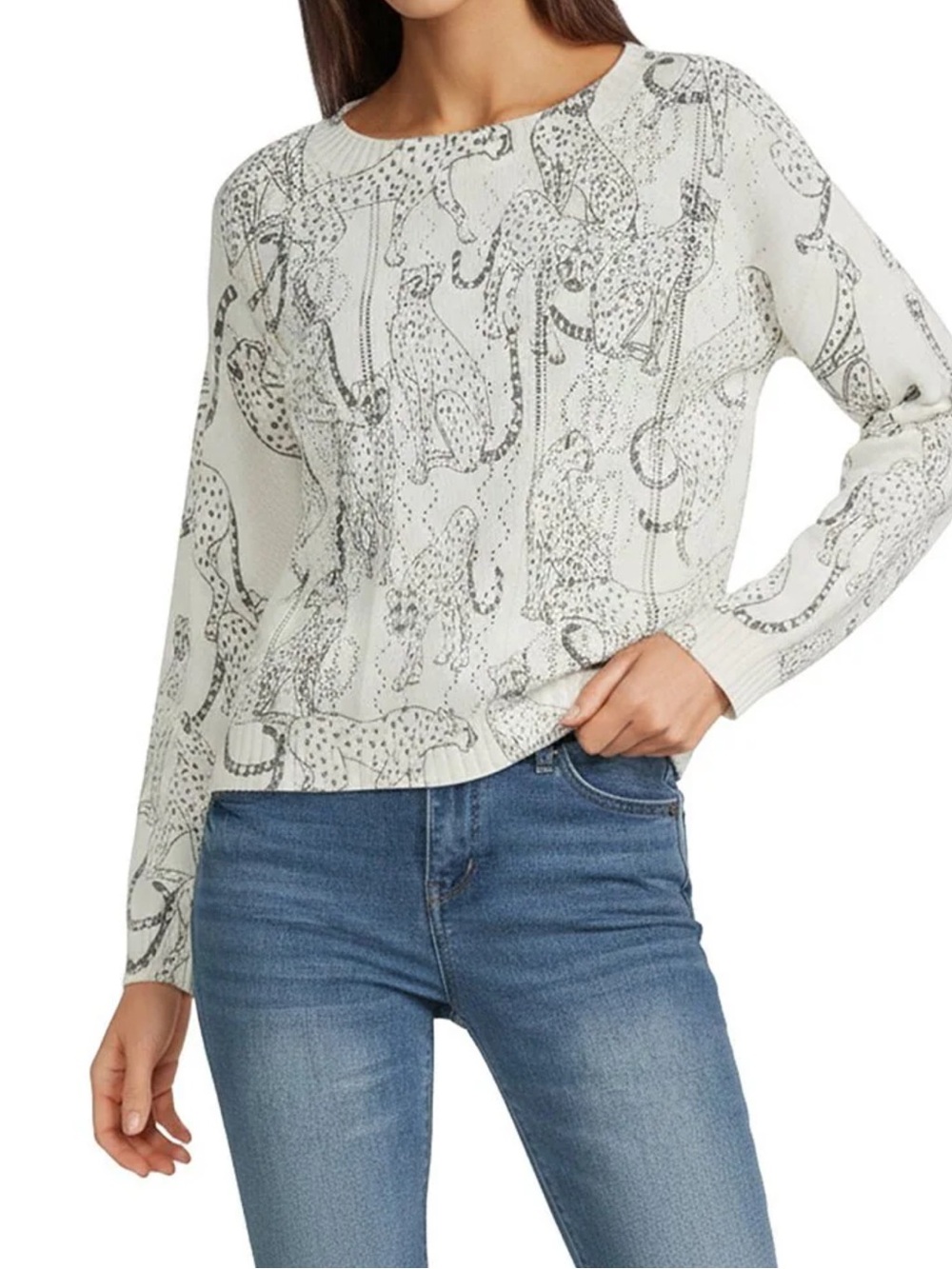 Democracy cat sweater